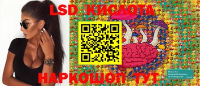 крисы Гатчина