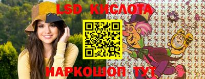 крисы Гатчина
