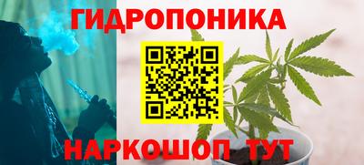 гидра Гай