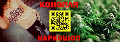 крисы Гатчина