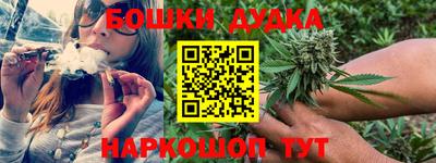 крисы Гатчина